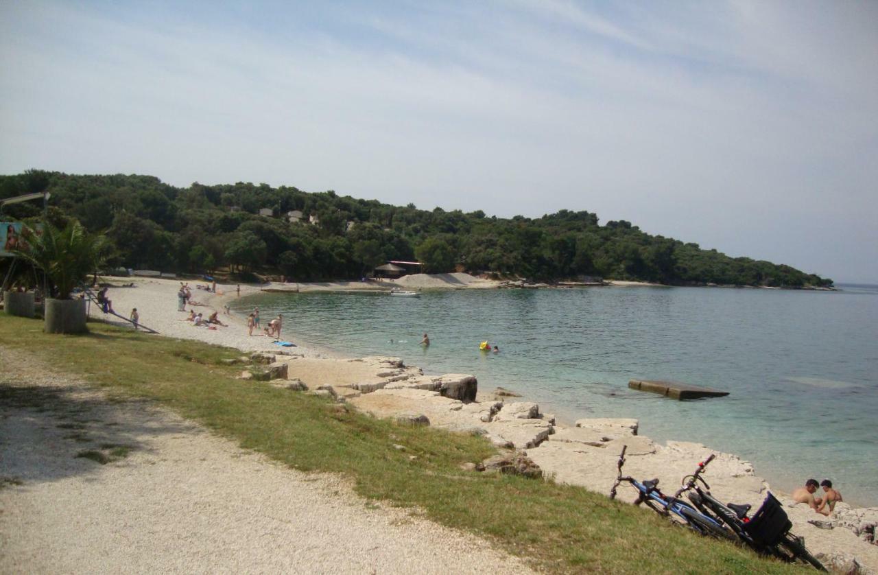 Mirta Pula