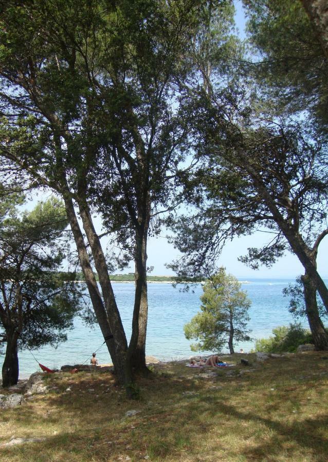 Mirta * Pula